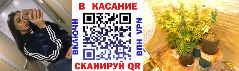 Где купить наркоту Бодайбо Канабис КОКАИН ГАШ