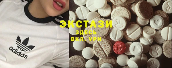 крисы Корсаков