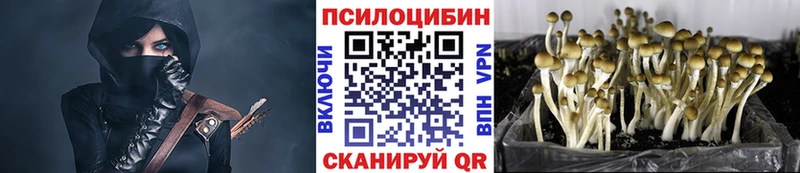 Псилоцибиновые грибы Psilocybine cubensis ссылка на мегу tor Бодайбо